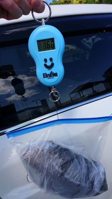 やっぱなんか渋いw